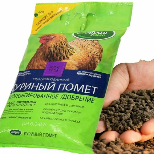 ������ ������ ������������ ��������� ������ ���� ������� ����� ���������������, 5 �� ����