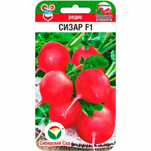 ������ ������ ����� ����� F1 60��/10 ����