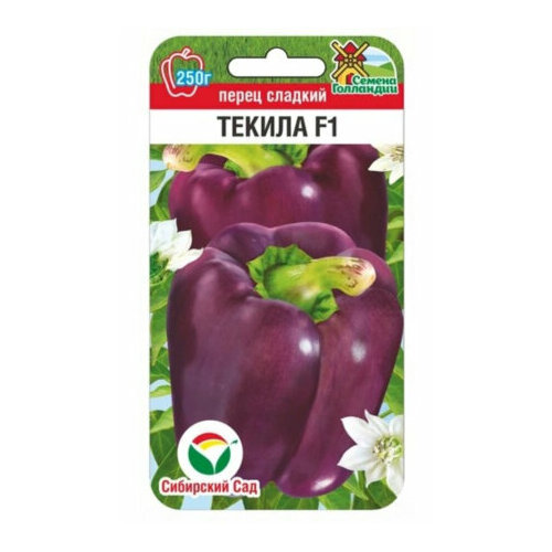 ������ ������ ������ ����� ������ F1 ������� 5�� (7��) ������ (��������� ���) ����