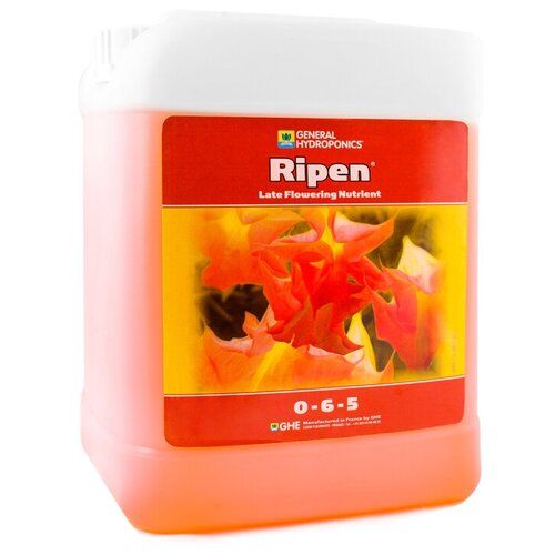 ������ ������ FinalPart T. A. (Ripen) 5� ����