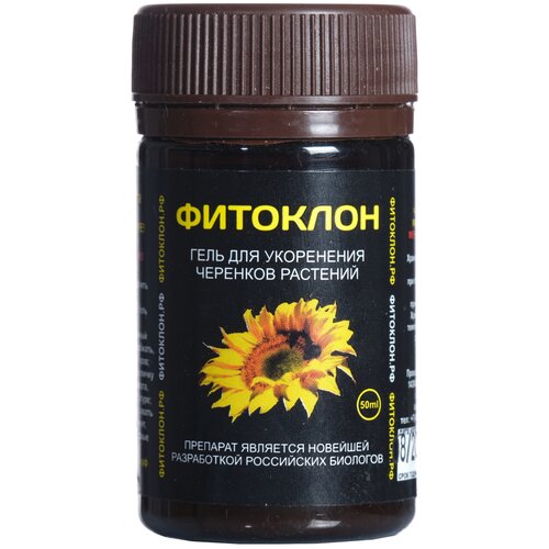 ������ ������ ��������� �������� ���� ��� ���������� �������� ��������, 0.05 �, 70 �, 1 ��. ����