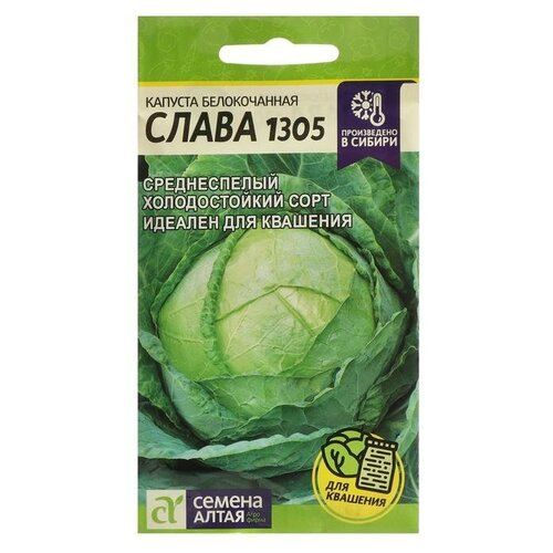 ������ ������ ������ ������� '����� 1305', ���. ���, �/�, 0,5 � ����