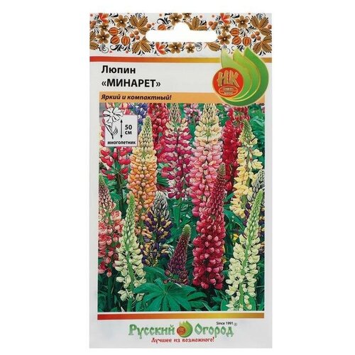 ������ ������ ������. �����. ����� 