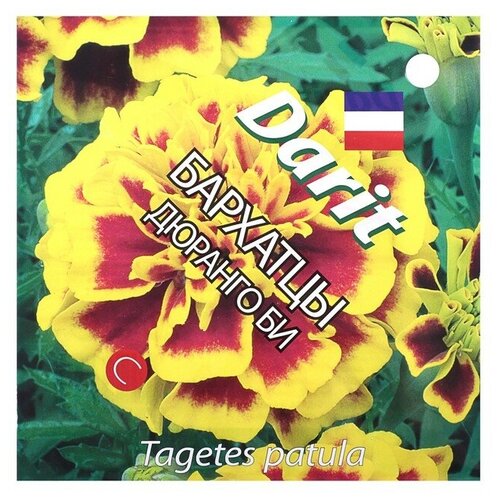 ������ ������ ������ ������ �������� 