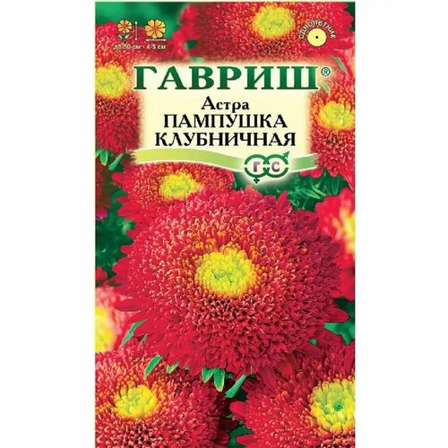 ������ ������ ����� 