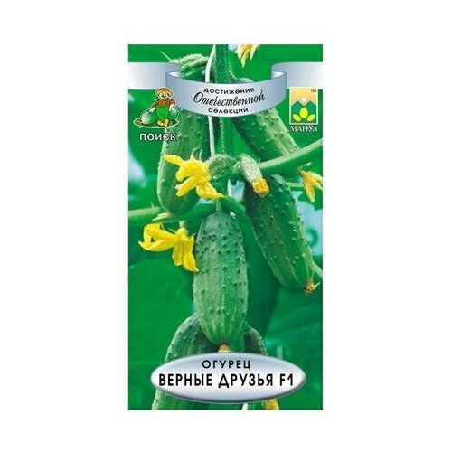 ������ ������ ������ ������� ����� ������ ������ 12 �� ����