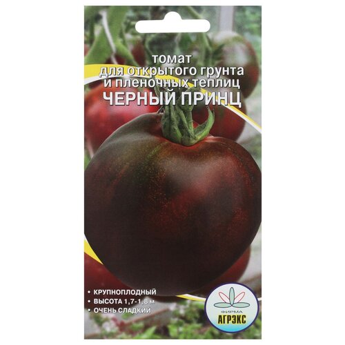 ������ ������ ������ ����� 