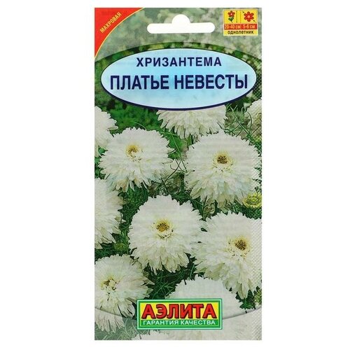 ������ ������ ������ ������ ���������� �������� 