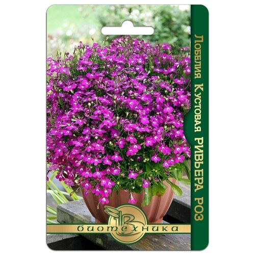 ������ ������ ������ ������� �������� ������� ��� 10 ���� ����� ���������� ����