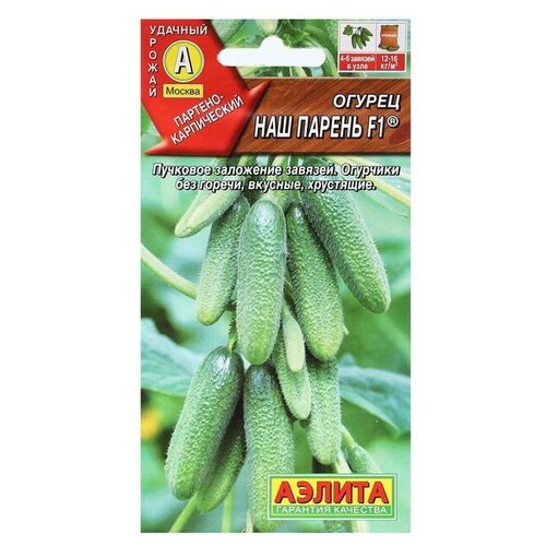 ������ ������ ������ ������ ��� ������ F1 ���� 10 �� ����