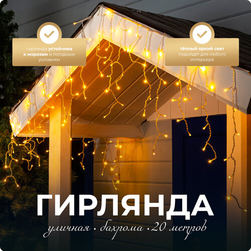 ������ ������ �������� ����� SXLT Company, ������ ����, 20 � ����