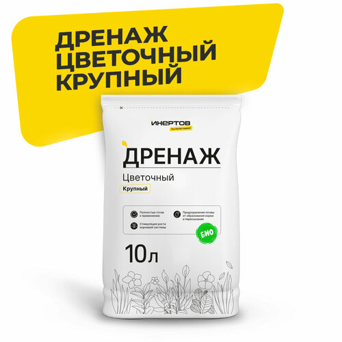 ������ ������ �������� - ������ ��������� ������� ������� 10� ����