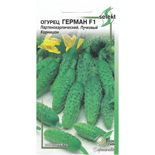 ������ ������ ������ ������ F1, 6 ����� ����