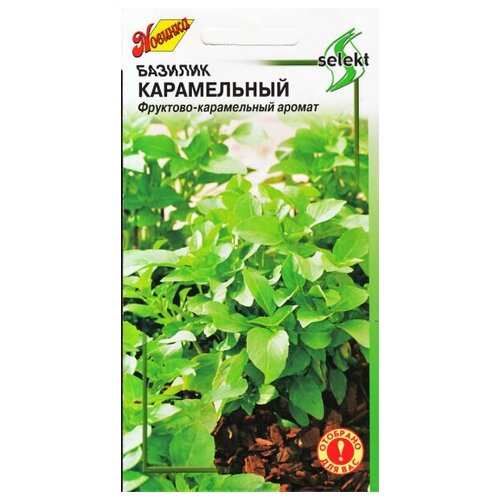 ������ ������ ������� �����������, 80 ����� ����