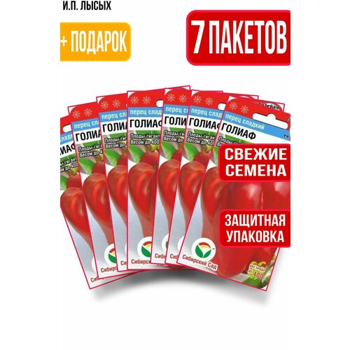 ������ ������ ������ ����� ������ 15�� ����