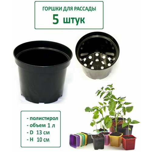 ������ ������ ������ ��� ������� - 5 ��, 1 �, ������� 13 ��, ������ 10 �� ����