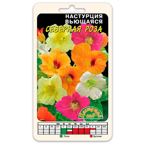 ������ ������ ������ �������� ��� 