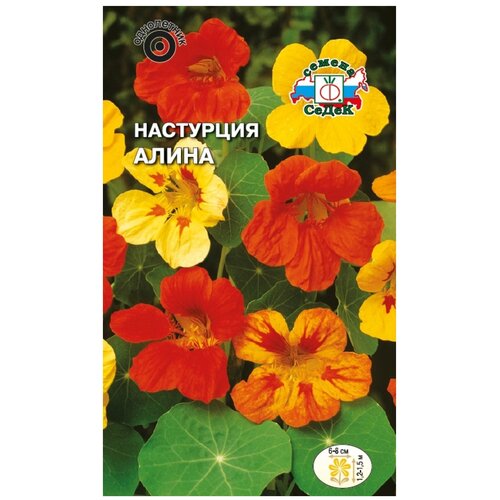 ������ ������ ������ ����� ��������� ����� ����