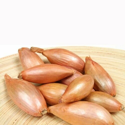 ������ ������ ���-����� ������� ���������� / ������ 14/35 / ����� 0,5�� / ������ ����