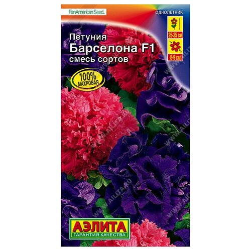 ������ ������ ������. ������� 