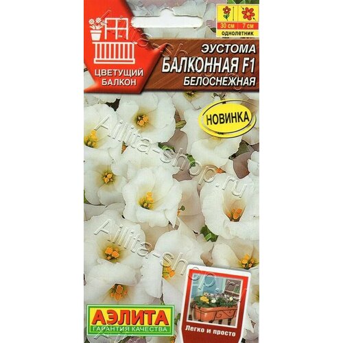 ������ ������ ������� ��������� ����������� F1 ( 1 �������� ), ������ ����