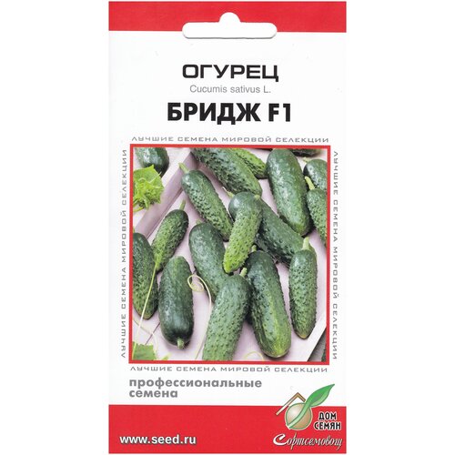 ������ ������ ������ ����� F1, 6 ����� ����