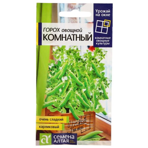 ������ ������ ������ ����� 