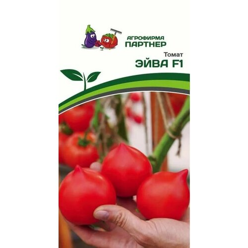 ������ ������ ����� ���� F1 ������ ������� (1 ��������-0,05 � �����) ����