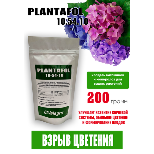 ������ ������ ��������� ��������� 10.54.10, 200 �� ����