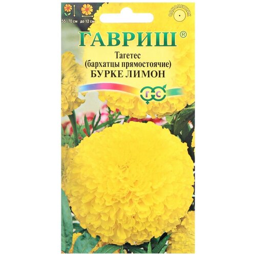 ������ ������ ������ ������ �������� ������ (�������) 