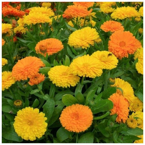 ������ ������ ������ ������ ��������� ������� ���� 20 ��. ����