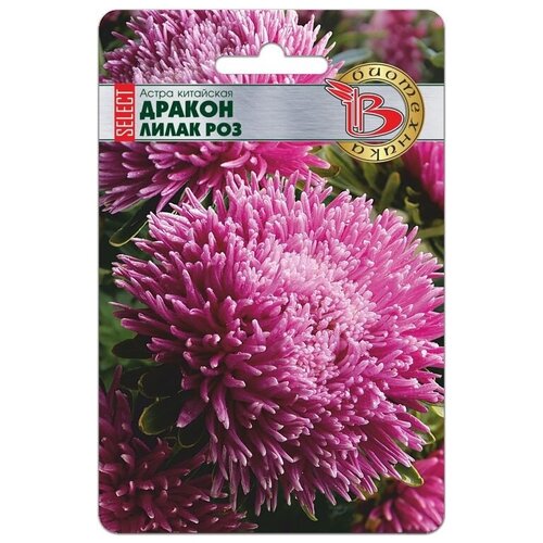 ������ ������ ����� ������ ����� ��� ����