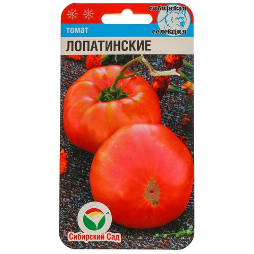 ������ ������ ������ ����� 