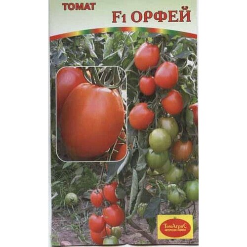 ������ ������ ������ ����� ����� F1 15�� ��� ������ (�����) ����