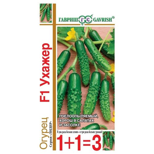 ������ ������ ������ ������ ������ F1 20�� �� (������) 1+1 ����