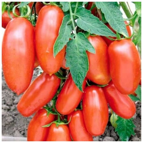 ������ ������ ������ ������ ����� ����� 10 ��. ����