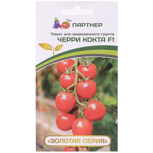 ������ ������ ������ ����� ����� 