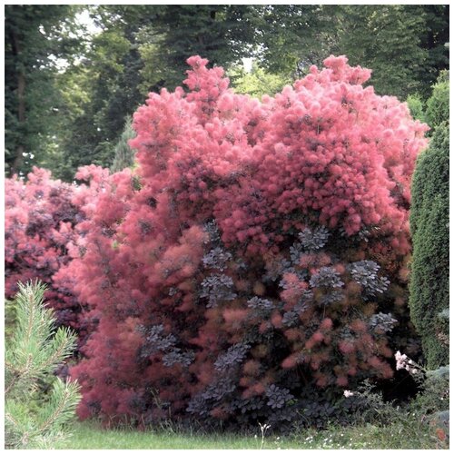 ������ ������ ������ ������ ������� ������������ 10 ��. ����