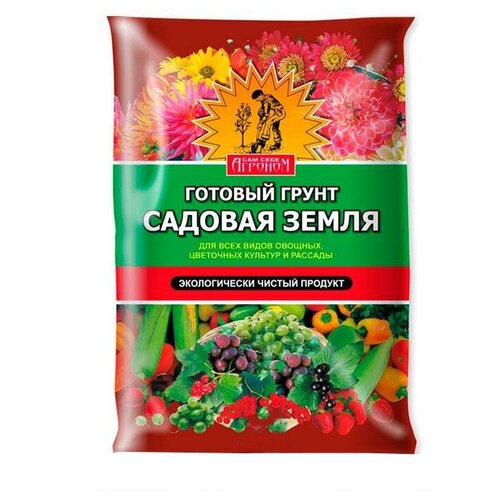 ������ ������ ����� 