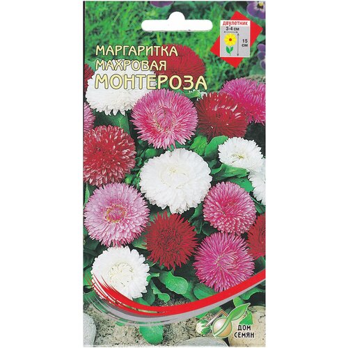 ������ ������ ���������� ����������� ���������, 300 ����� ����