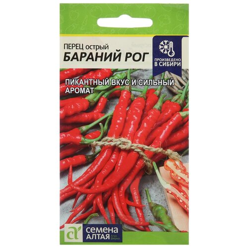 ������ ������ ������ ����� ������ 