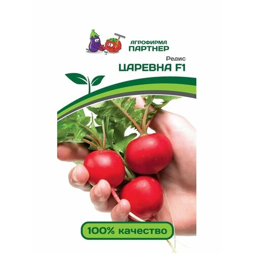 ������ ������ ������ ����� ������� F1 (1 �) - ��������� ������� ����