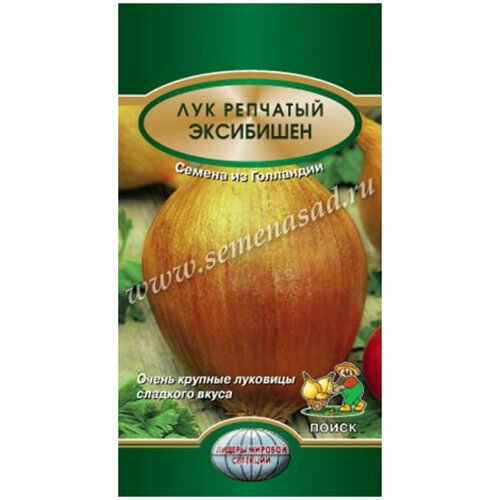 ������ ������ ������ ����� ��� �������� ��������� 0.5 � ����