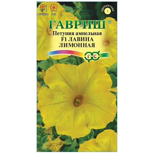 ������ ������ ������� ��������� ������ �������� F1, �������, �������� ����