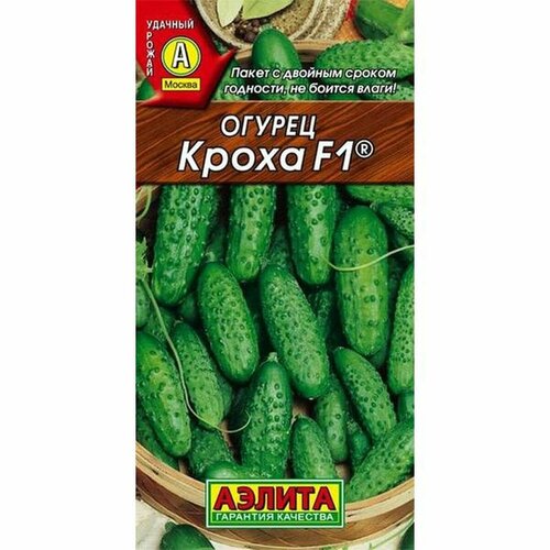 ������ ������ ������ ������ ����� F1 (������) 10�� ����