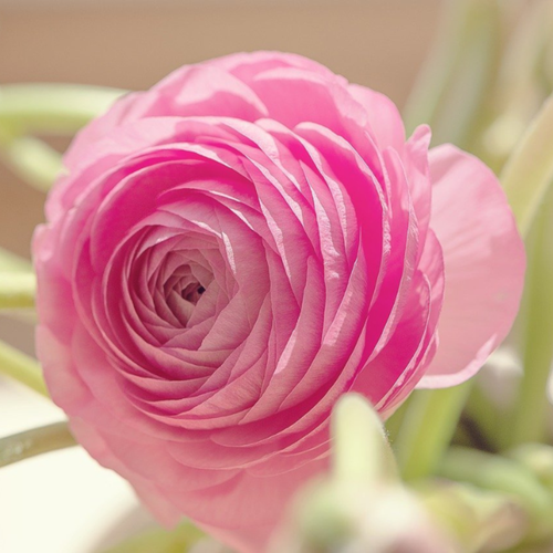 ������ ������ �������� ������ , bulbs servise, ���������� ���� ( 10 ���� ) ����