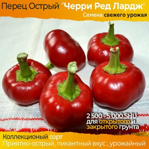 ������ ������ ������ ������� ����� ����� ��� ����� - ������������� ���� ����