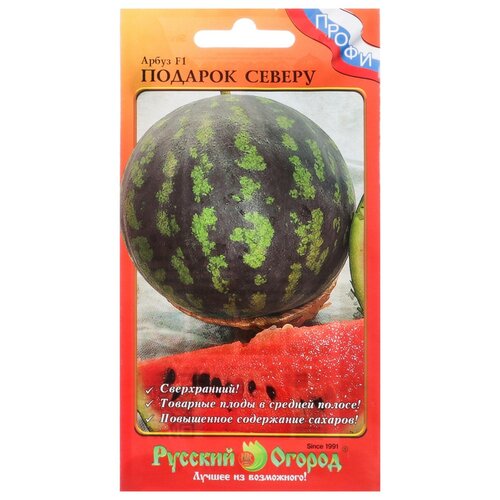 ������ ������ ������ ����� 