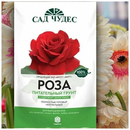 ������ ������ ����� / ����� ��� ����������� ���, ���������, �������, ������, ������ , 5� ����