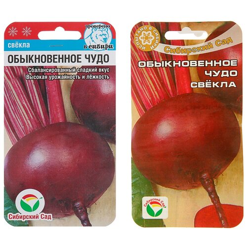 ������ ������ ������ ������ 